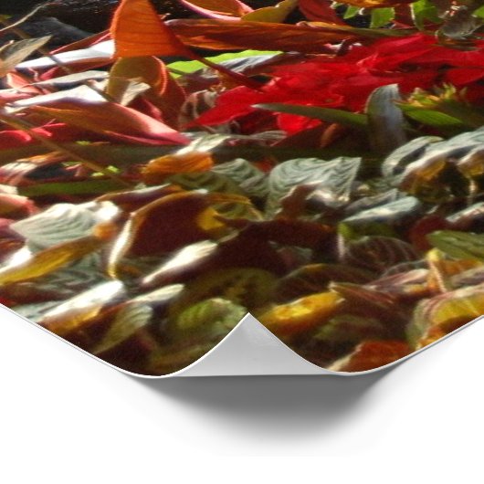 Waterval Poster (Hoek)