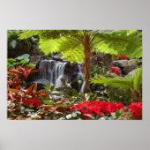 Waterval Poster (Voorkant)