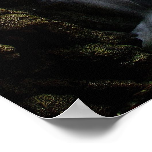 waterval poster (Hoek)