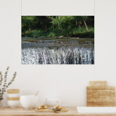 Waterval Poster (Keuken)