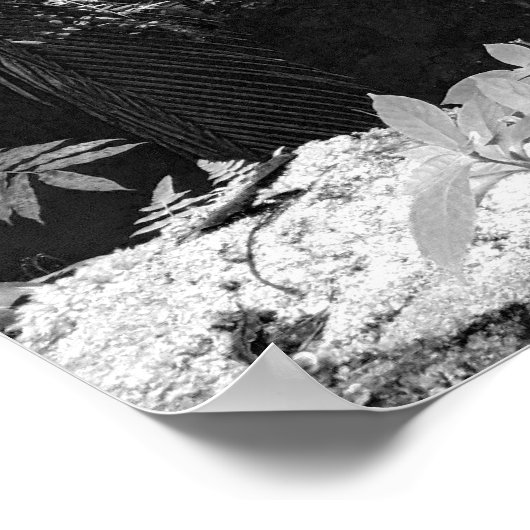 Waterval Poster (Hoek)