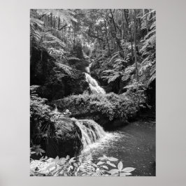 Waterval Poster