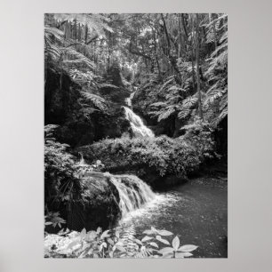 Waterval Poster