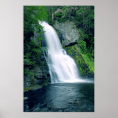 Waterval Poster (Voorkant)