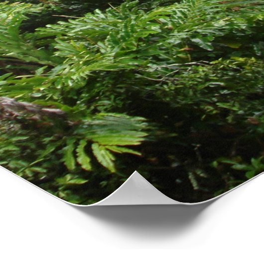 Waterval Poster (Hoek)