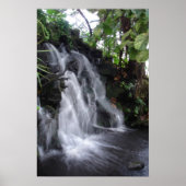 Waterval Poster (Voorkant)
