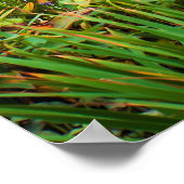 Waterval Poster (Hoek)