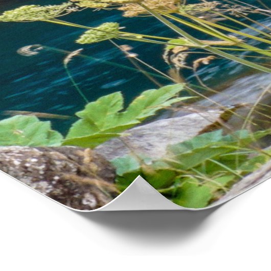 Waterval Poster (Hoek)