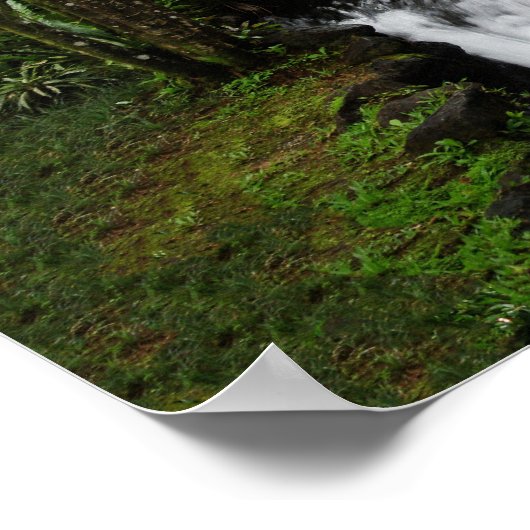 Waterval Poster (Hoek)