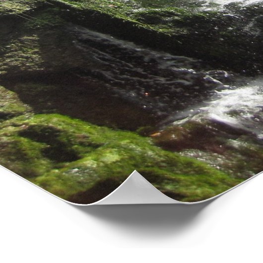 Waterval Poster (Hoek)