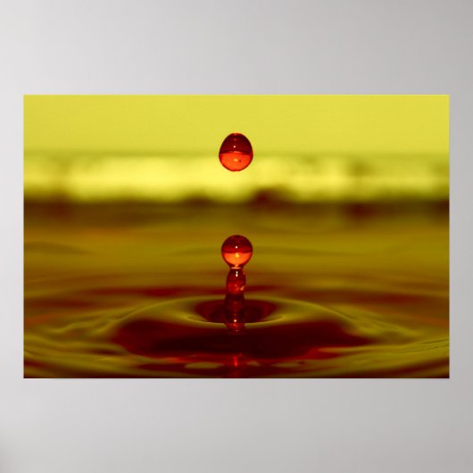 Waterval Poster (Voorkant)