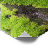 Waterval Poster (Hoek)