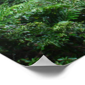 Waterval Poster (Hoek)