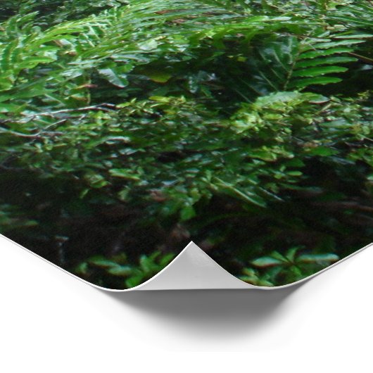 Waterval Poster (Hoek)