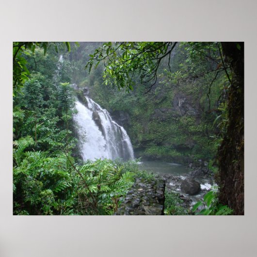 Waterval Poster (Voorkant)