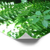 waterval poster (Hoek)
