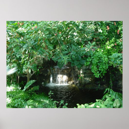 waterval poster (Voorkant)