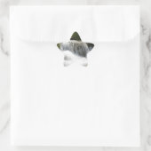 Waterval - Pro foto. Ster Sticker (Tas)