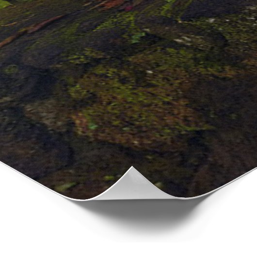 Waterval | Rainbow-Herfsten, Hilo, Hawaii Poster (Hoek)