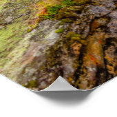Waterval & riviercascade poster (Hoek)