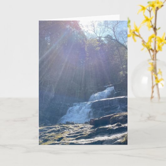 Waterval, rotsen & zonnestralen kaart (Gele Bloem)