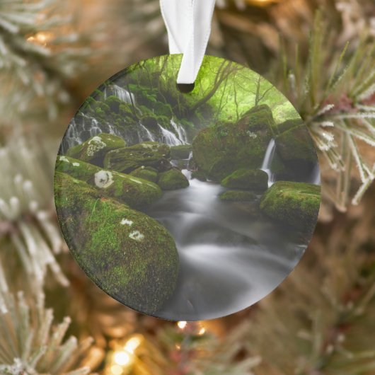 Waterval | Satoyama Kisakata Waterval Ornament (Boom)