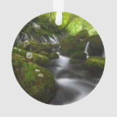 Waterval | Satoyama Kisakata Waterval Ornament (achterkant)