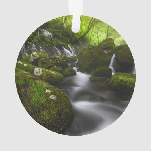 Waterval | Satoyama Kisakata Waterval Ornament (achterkant)