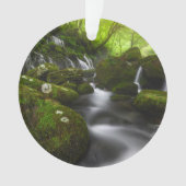 Waterval | Satoyama Kisakata Waterval Ornament (voorkant)