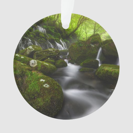 Waterval | Satoyama Kisakata Waterval Ornament (voorkant)