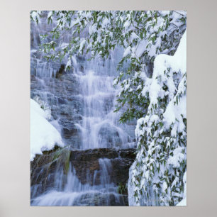 Waterval, Sequoia en Kings Canyon National Poster
