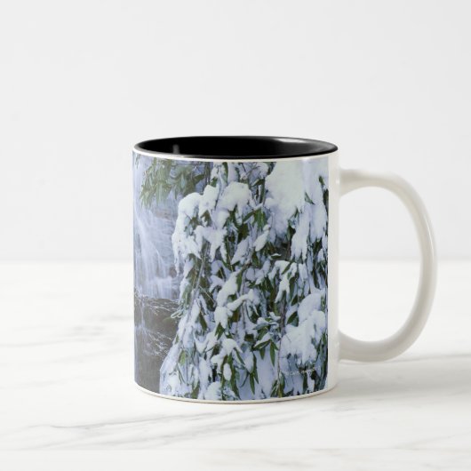 Waterval, Sequoia en Kings Canyon National Tweekleurige Koffiemok (Rechts)