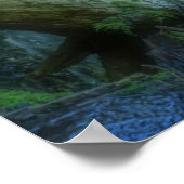 Waterval | Shinmata Ravine, Japan Poster (Hoek)