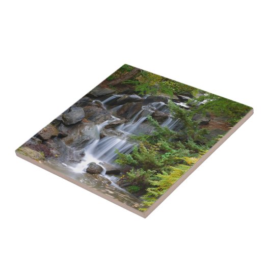 Waterval Tegeltje (Zijkant)