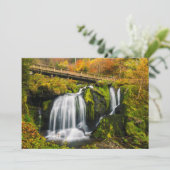Waterval | Triberg Waterfall, Duitsland Bedankkaart (Staand voorkant)