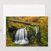 Waterval | Triberg Waterfall, Duitsland Bedankkaart (Voorkant / Achterkant)