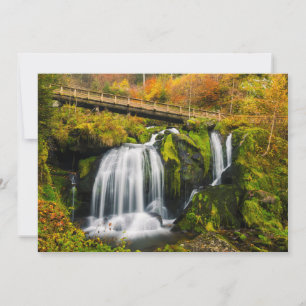 Waterval   Triberg Waterfall, Duitsland Bedankkaart