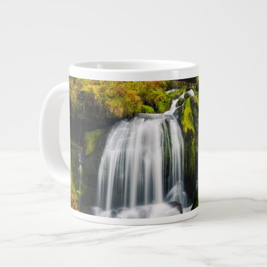 Waterval | Triberg Waterfall, Duitsland Grote Koffiekop (Links)