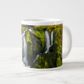 Waterval | Triberg Waterfall, Duitsland Grote Koffiekop (Voorkant rechts)