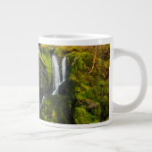 Waterval | Triberg Waterfall, Duitsland Grote Koffiekop (Rechts)