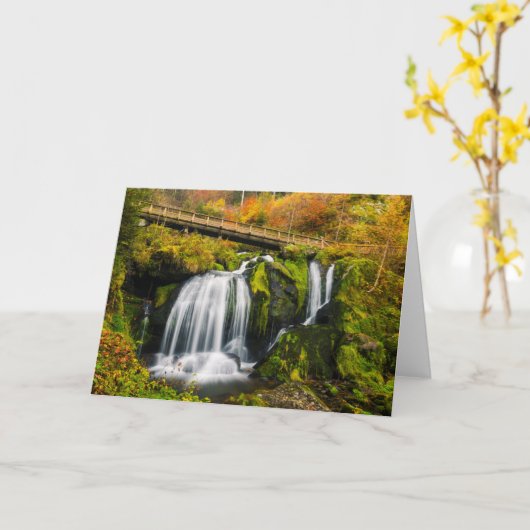 Waterval | Triberg Waterfall, Duitsland Kaart (Gele Bloem)