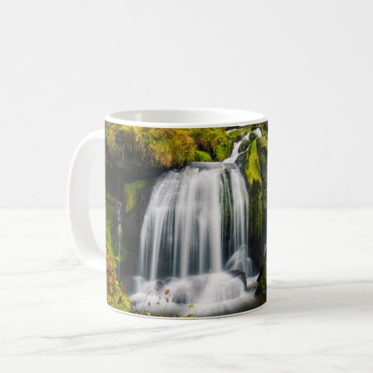 Waterval | Triberg Waterfall, Duitsland Koffiemok (Voorkant links)