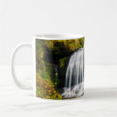 Waterval | Triberg Waterfall, Duitsland Koffiemok (Links)