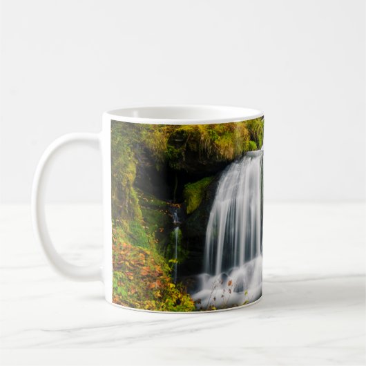 Waterval | Triberg Waterfall, Duitsland Koffiemok (Links)