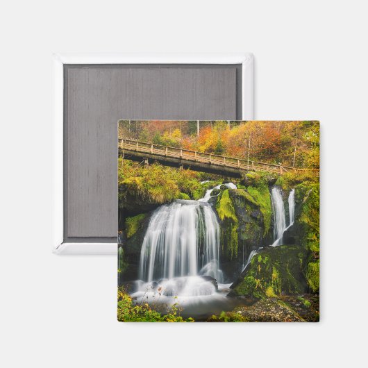 Waterval | Triberg Waterfall, Duitsland Magneet (Voorkant / Achterkant)
