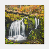 Waterval | Triberg Waterfall, Duitsland Magneet (Voorkant)
