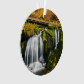 Waterval | Triberg Waterfall, Duitsland Ornament (voorkant)