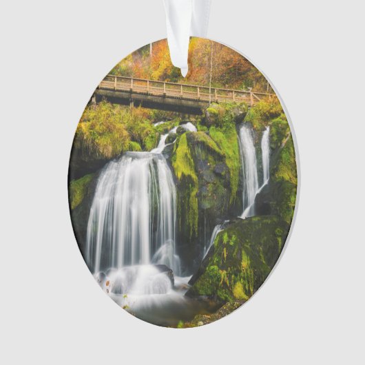 Waterval | Triberg Waterfall, Duitsland Ornament (voorkant)