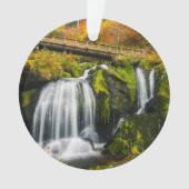 Waterval | Triberg Waterfall, Duitsland Ornament (voorkant)