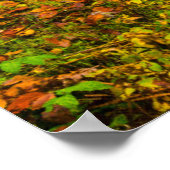 Waterval | Triberg Waterfall, Duitsland Poster (Hoek)